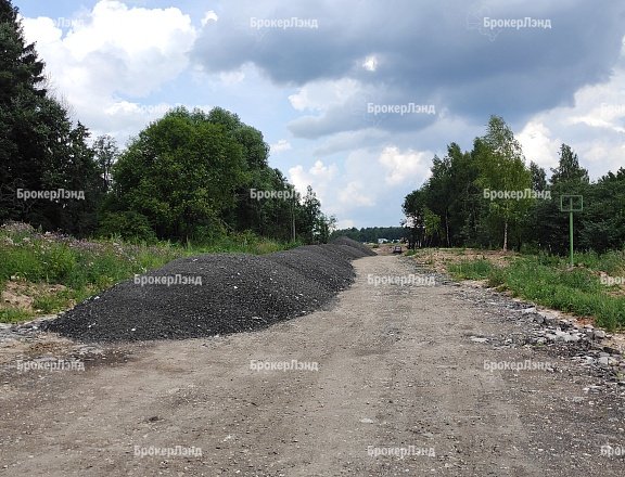 Фото парка