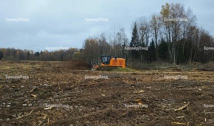 «Промпарк М10» благоустраивается