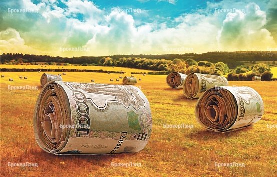 Земле назначат справедливую цену
