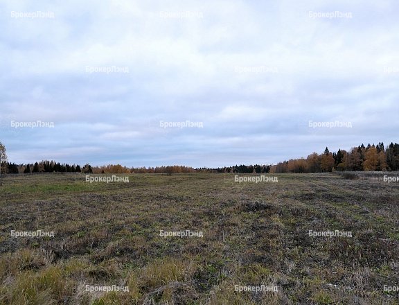 Фото парка