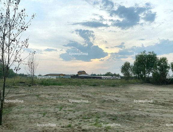 Фото парка
