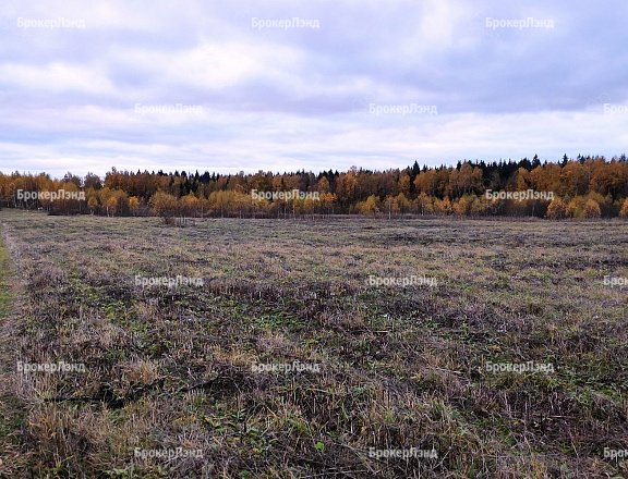 Фото парка