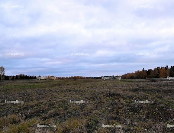 Фото парка