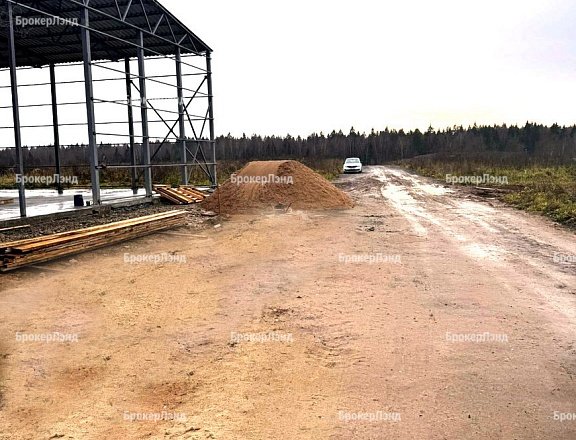 Фото парка