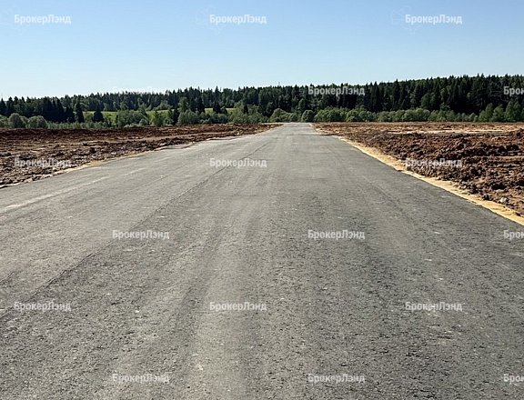 Фото парка
