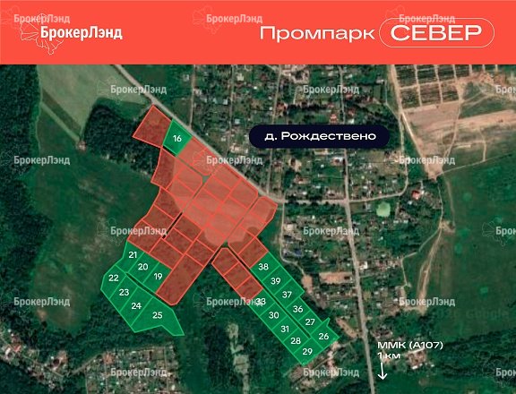Фото парка