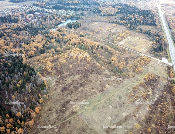 Фото парка