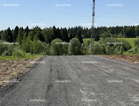 Фото парка