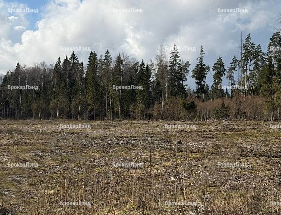 Фото парка