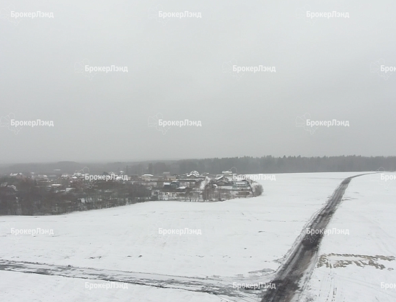 Фото парка