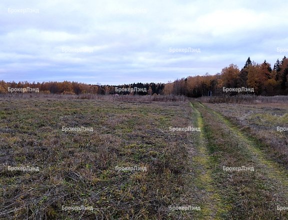 Фото парка
