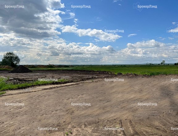 Фото парка