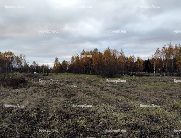 Фото парка