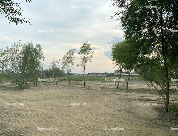 Фото парка