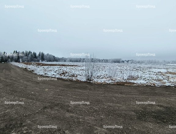 Фото парка