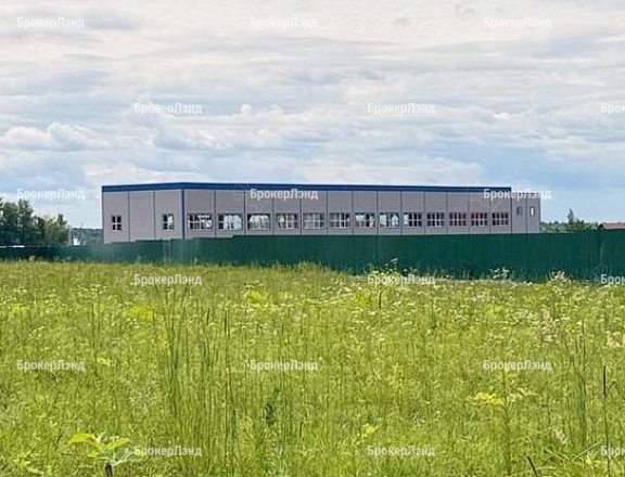 Фото парка