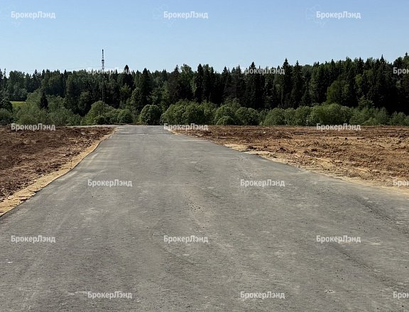 Фото парка