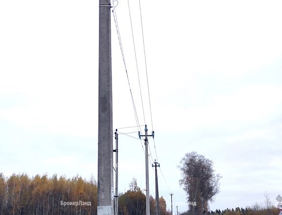 Фото парка