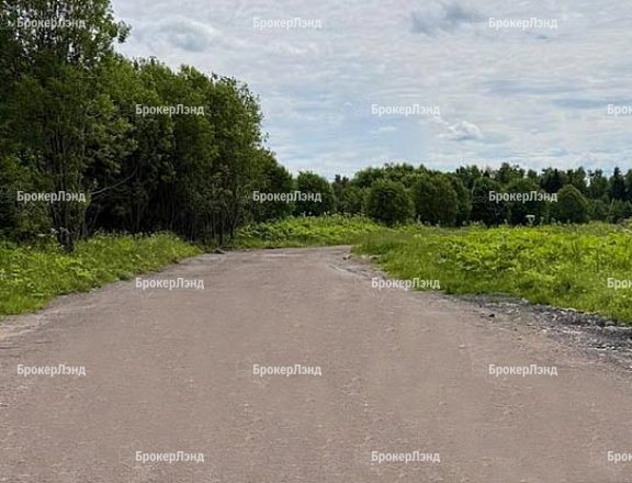 Фото парка